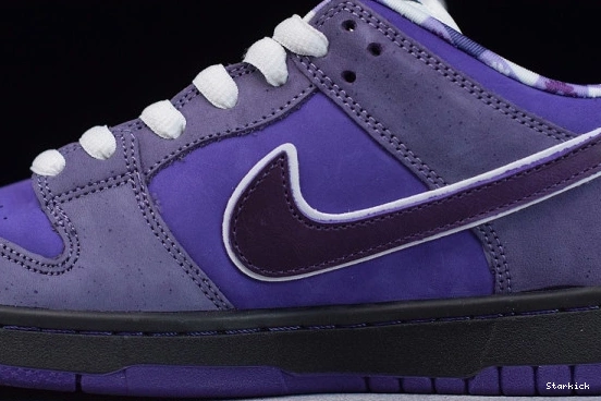 BV1310-555 Concepts Dunk Low SB Lobster Purple Nike 1008